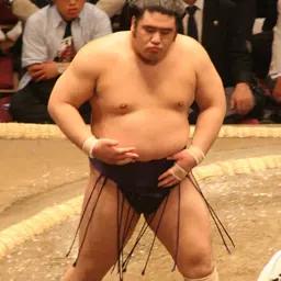 Portrait of Tochiōzan Yūichirō