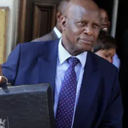 Portrait of Patrick Chinamasa