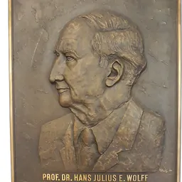 Portrait of Hans Julius Wolff