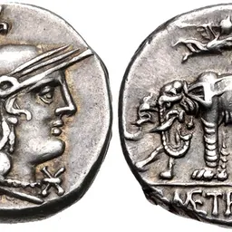 Portrait of Gaius Caecilius Metellus Caprarius