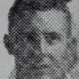 Portrait of Frank Negri