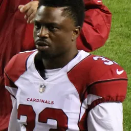 Portrait of Kerwynn Williams