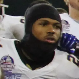 Portrait of Bené Benwikere