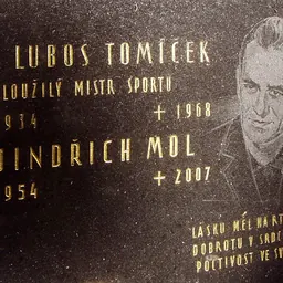 Portrait of Luboš Tomíček