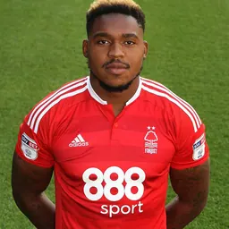 Portrait of Britt Assombalonga