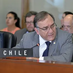 Portrait of Juan Pablo Lira Bianchi