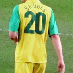 Portrait of David Bridges