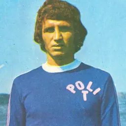 Portrait of Dan Păltinișanu