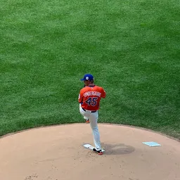 Portrait of Noah Syndergaard