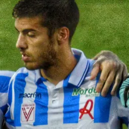 Portrait of Luka Bogdan