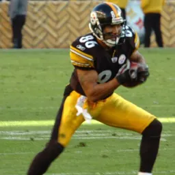 Portrait of Hines Ward