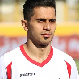 Portrait of Omid Alishah