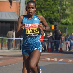 Portrait of Feyse Tadese