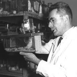 Portrait of Isaac Berenblum