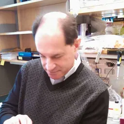 Portrait of David Julius