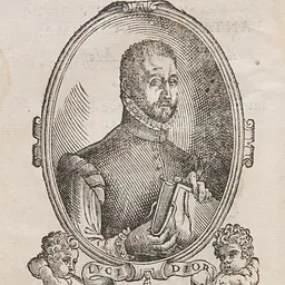 Portrait of Giovanni Camillo Maffei