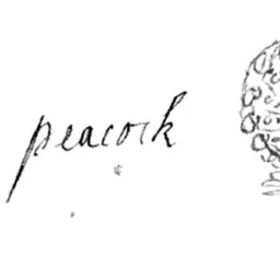 Portrait of Lucy Peacock