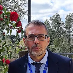 Portrait of Ramzy Baroud