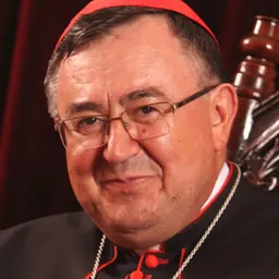 Portrait of Vinko Puljić