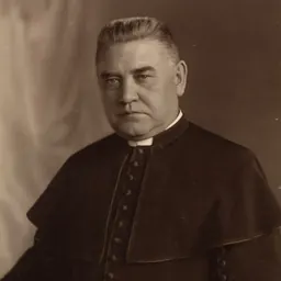 Portrait of József Vass