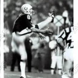Portrait of Ray Guy