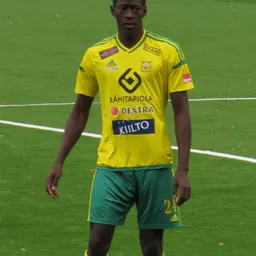 Portrait of Mamadou Diouf