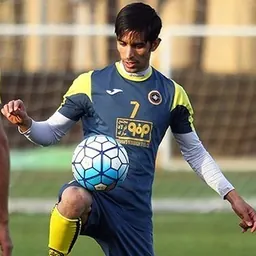 Portrait of Hossein Papi