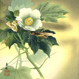 Portrait of Tsuji Kakō