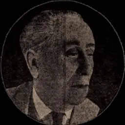 Portrait of Barbu Solacolu