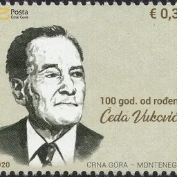 Portrait of Čedo Vuković