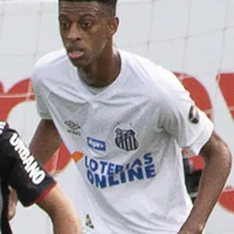 Portrait of Robson Bambu