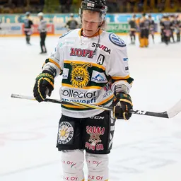 Portrait of Ville Korhonen