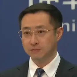 Portrait of Lin Jian