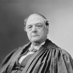 Portrait of Noah Haynes Swayne
