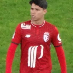 Portrait of Luiz Araújo