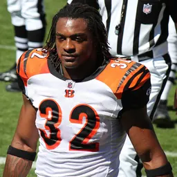 Portrait of Cedric Benson