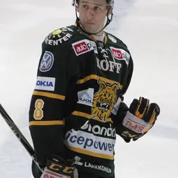 Portrait of Niko Peltola