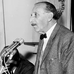Portrait of Luigi Piccinato