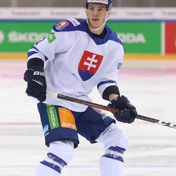 Portrait of Patrik Koch