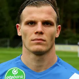 Portrait of Dániel Gera