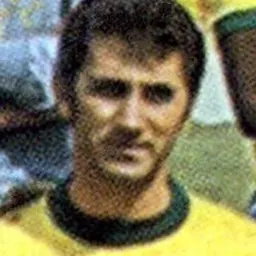 Portrait of José Guilherme Baldocchi