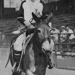 Portrait of Joe Berry