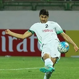 Portrait of Mohammad Nejad Mehdi