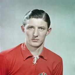 Portrait of Nándor Bányai