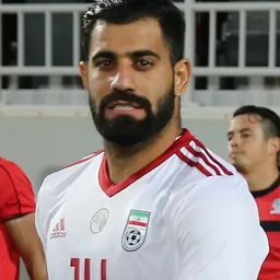 Portrait of Mohammad Hossein Kanaanizadegan