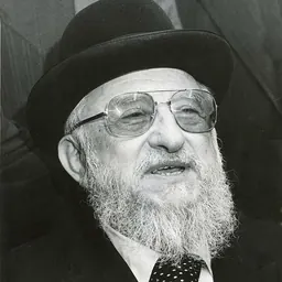 Portrait of Śimḥah Zisel Broida