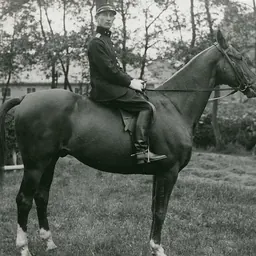 Portrait of Aernout van Lennep