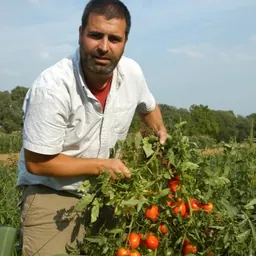 Portrait of Zachary Lippman