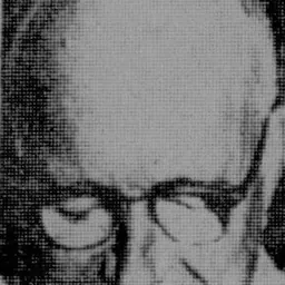 Portrait of René Dubos