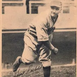 Portrait of Socks Seibold
